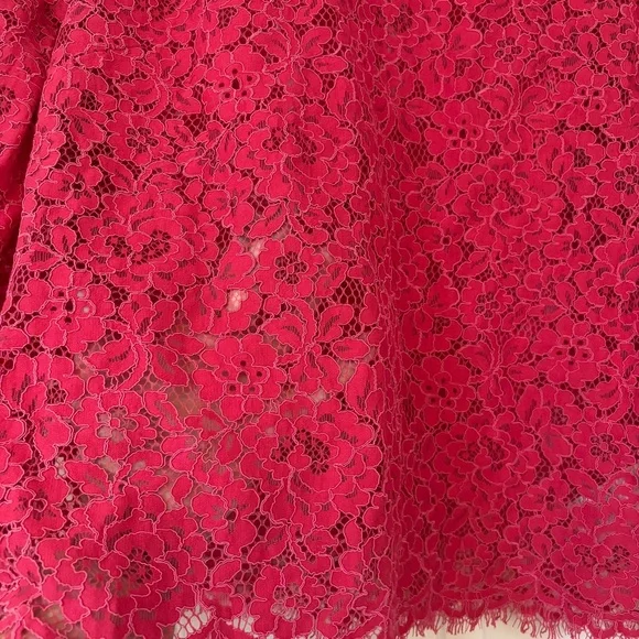 J. Crew Scalloped Lace Mockneck Top Vibrant Pink Lace Blouse Size 14 Sheer Glam - Picture 4 of 12